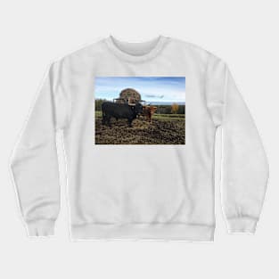 Scottish Highland Cattle Bull and Cow 2131 Crewneck Sweatshirt